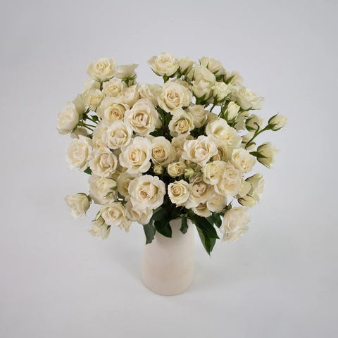Ivory White Spray Rose Flower Bunch in Vase