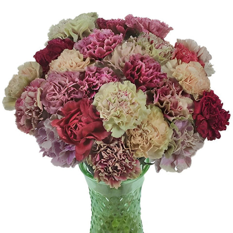 Mixed Color Vintage Carnation Flowers in a Vase