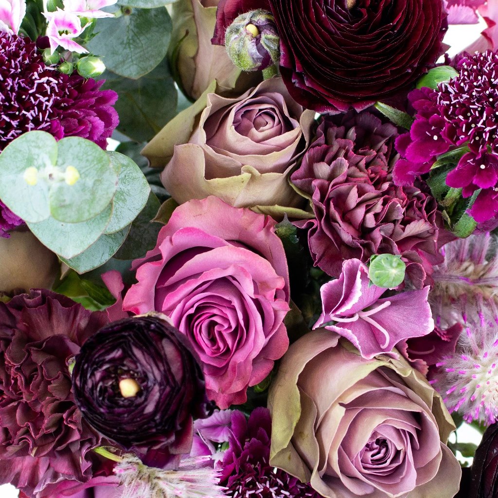 Plum Rose Luxury Flower Bouquets | Wholesale Flowers | FiftyFlowers