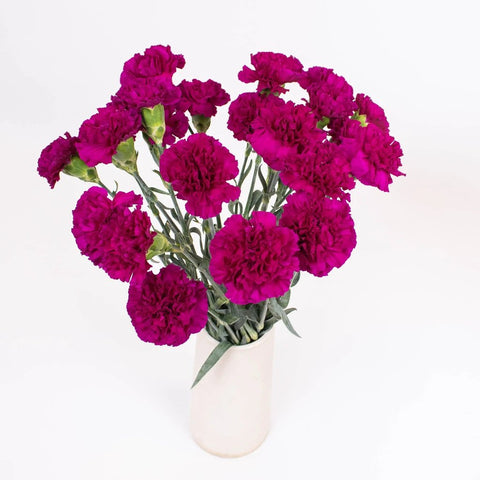 Purpleberry Carnation Flower Bunch in Vase