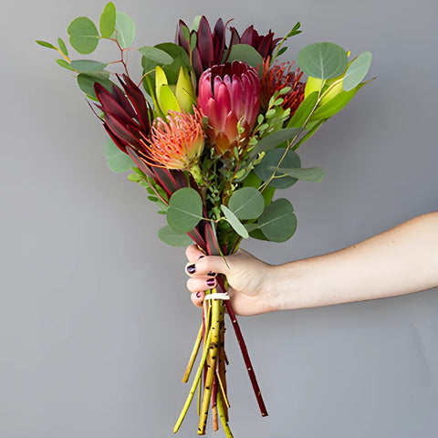 Tropical Protea Wholesale Bunch in a hand