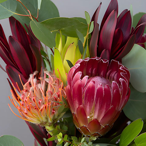 Tropical Protea DIY wedding flowers in vases