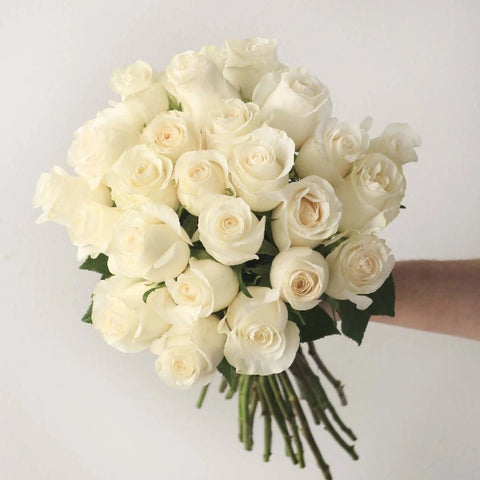 White Ecuadorian Roses