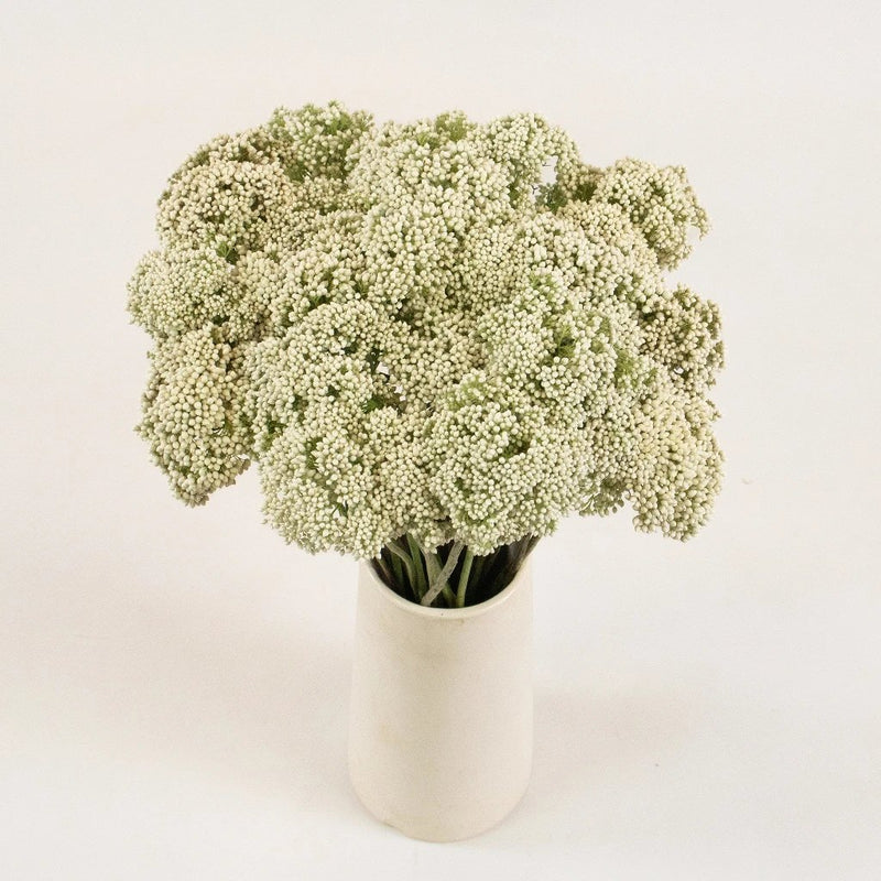 White Rice Flower Bunch in Vase
