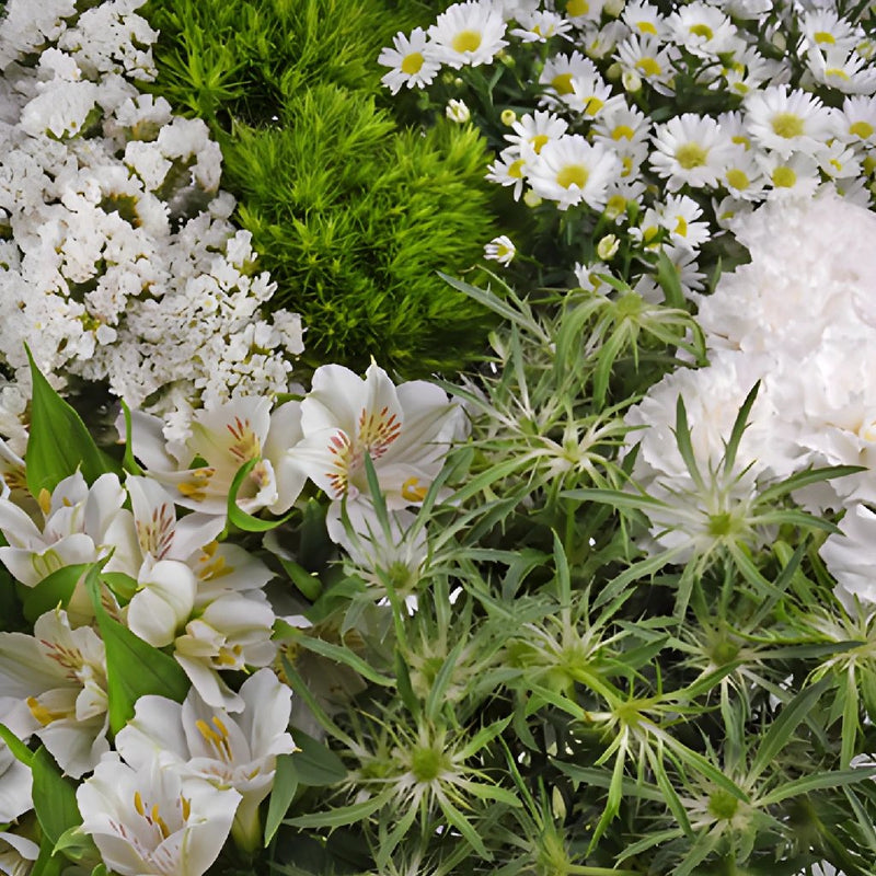 White Textured Filler DIY Flower Kit Up Close