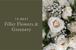 10 Best Filler Flowers & Greenery