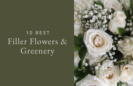 10 Best Filler Flowers & Greenery