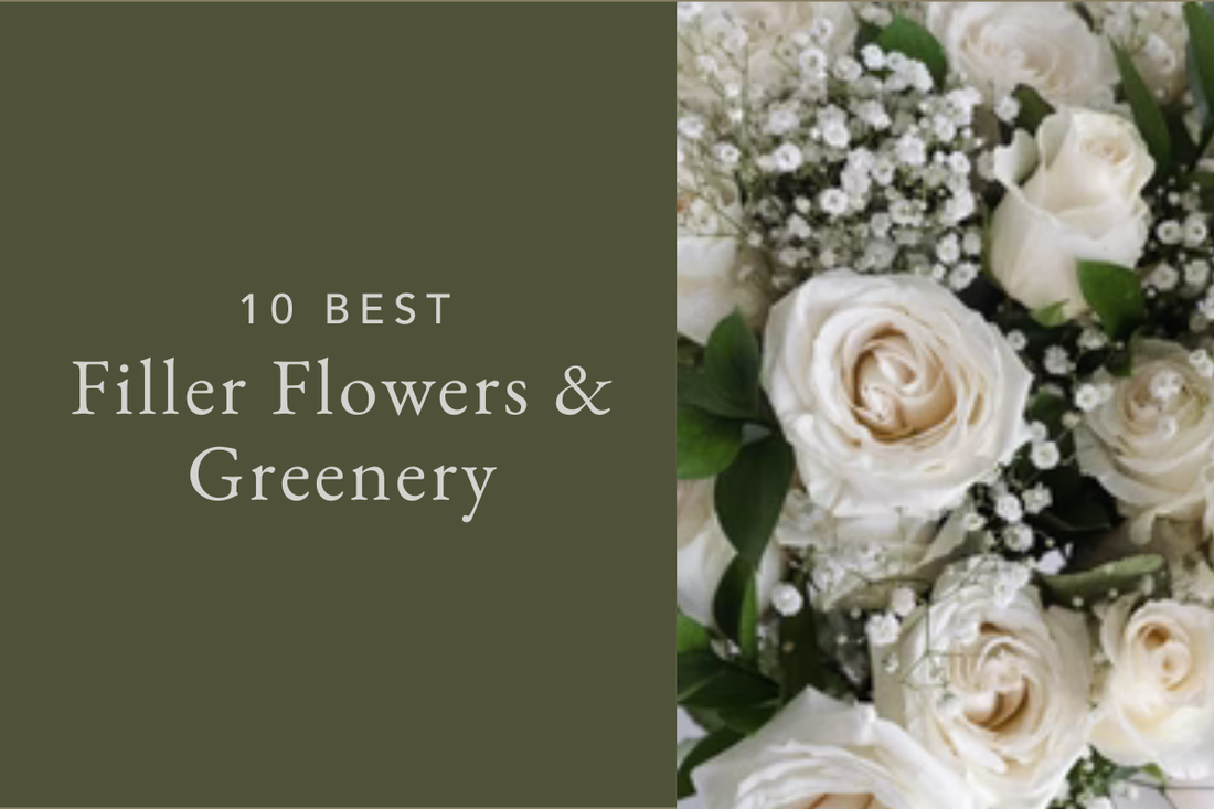 10 Best Filler Flowers & Greenery