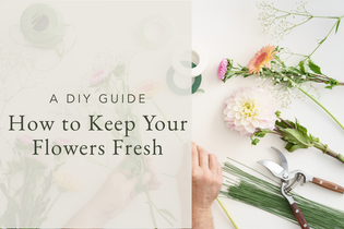 A DIY Guide: How to Keep your Flowers Fresh