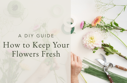 A DIY Guide: How to Keep your Flowers Fresh