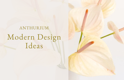Anthurium Flower Arrangements Modern Design Ideas