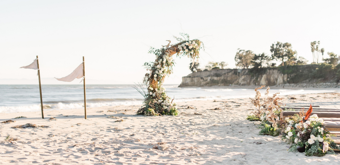 The 10 Best Beach Flowers for Your Wedding