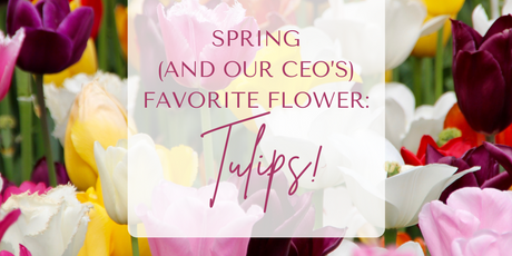 Spring Tulips DIY Flowers 