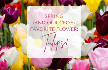 Spring Tulips DIY Flowers 