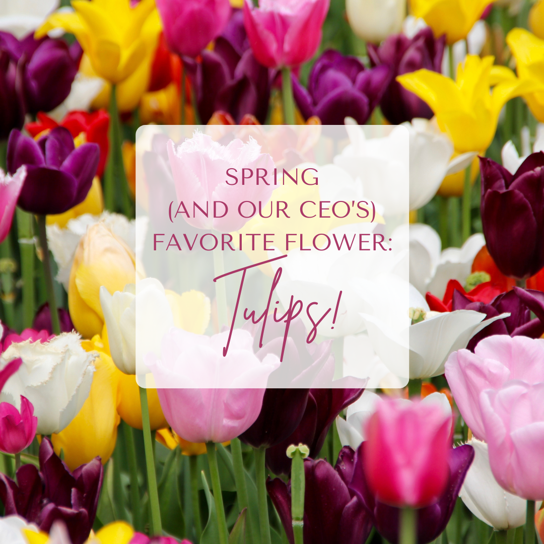 Spring Tulips DIY Flowers 