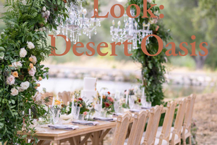 Make This Look: Desert Oasis