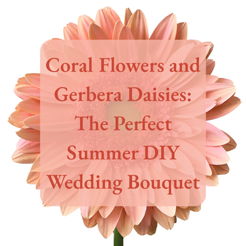 Coral Flowers and Gerbera Daisies: The Perfect Summer DIY Wedding Bouquet
