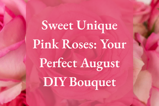 Sweet Unique Pink Roses: Your Perfect August DIY Bouquet