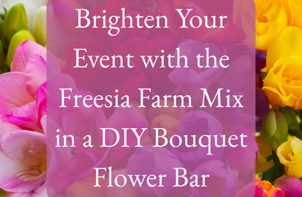 Brighten Your Event with the Freesia Farm Mix in a DIY Bouquet Flower Bar