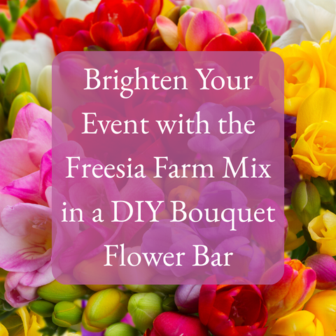 Brighten Your Event with the Freesia Farm Mix in a DIY Bouquet Flower Bar