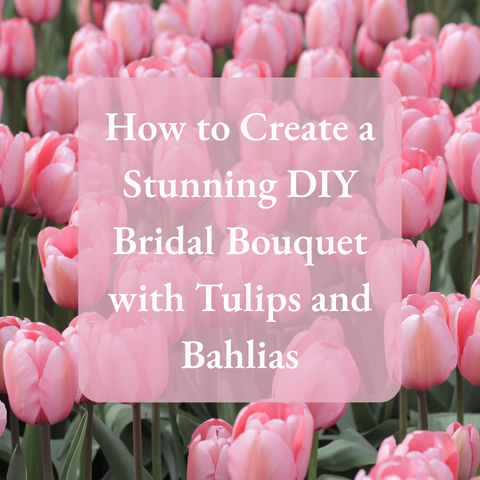 If you’re envisioning a bouquet that exudes romance, elegance, and timeless charm, consider crafting your own bridal masterpiece with&nbsp;light pink brushstrokes painted tulips and our powder pink bahlia flowers.