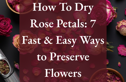 How To Dry Rose Petals: 7 Fast & Easy Ways to Preserve Flowers