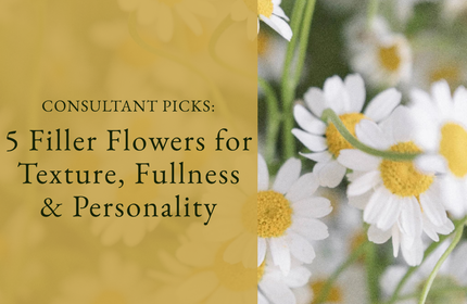Consultant Picks: 5 Filler Flowers for Texture, Fullness & Personality