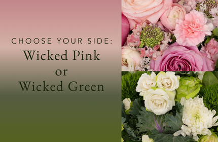 Choose Your Side: Wicked Pink or Wicked Green