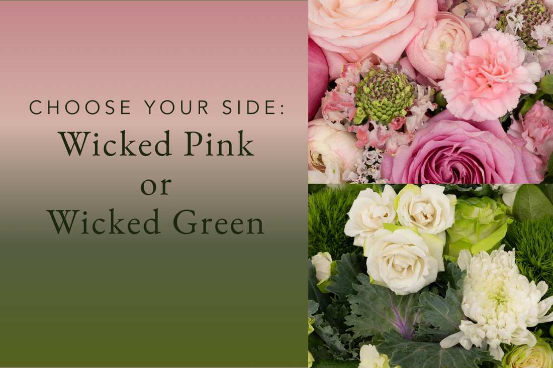 Choose Your Side: Wicked Pink or Wicked Green