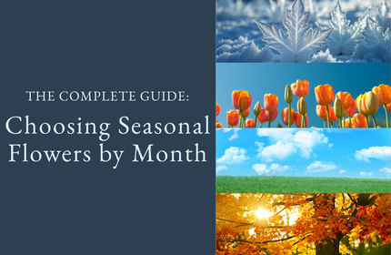 The Complete Guide to Choosing Seasonal Flowers by Month