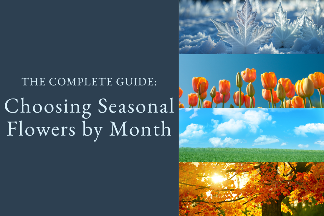 The Complete Guide to Choosing Seasonal Flowers by Month