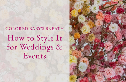 Colored Baby’s Breath: How to Style It for Weddings & Events
