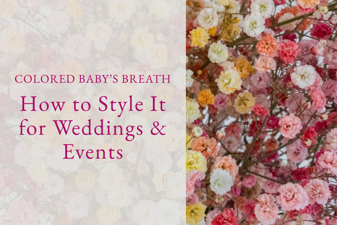 Colored Baby’s Breath: How to Style It for Weddings & Events