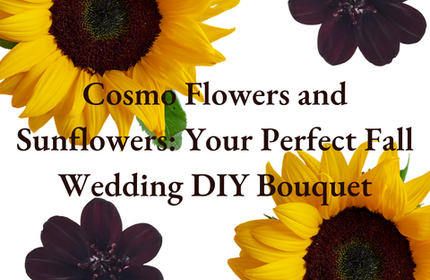 Cosmo Flowers and Sunflowers Your Perfect Fall Wedding DIY Bouquet