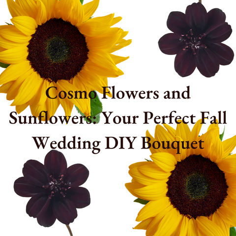 Cosmo Flowers and Sunflowers Your Perfect Fall Wedding DIY Bouquet