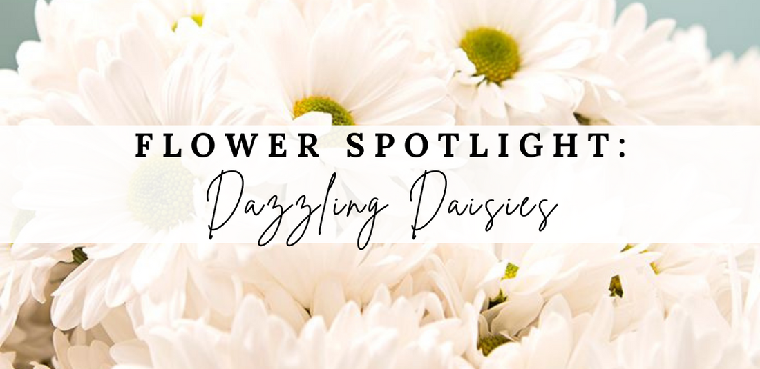Dazzling Daisies: A Wedding Flower Spotlight