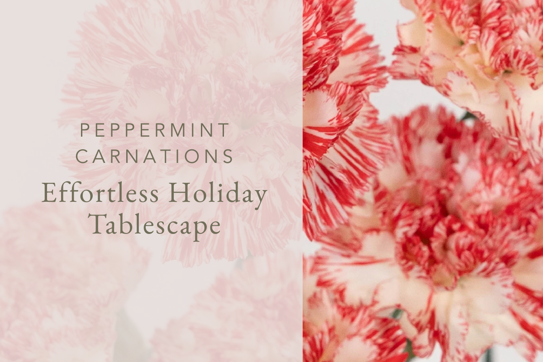 Effortless Holiday Tablescape with Peppermint Carnations