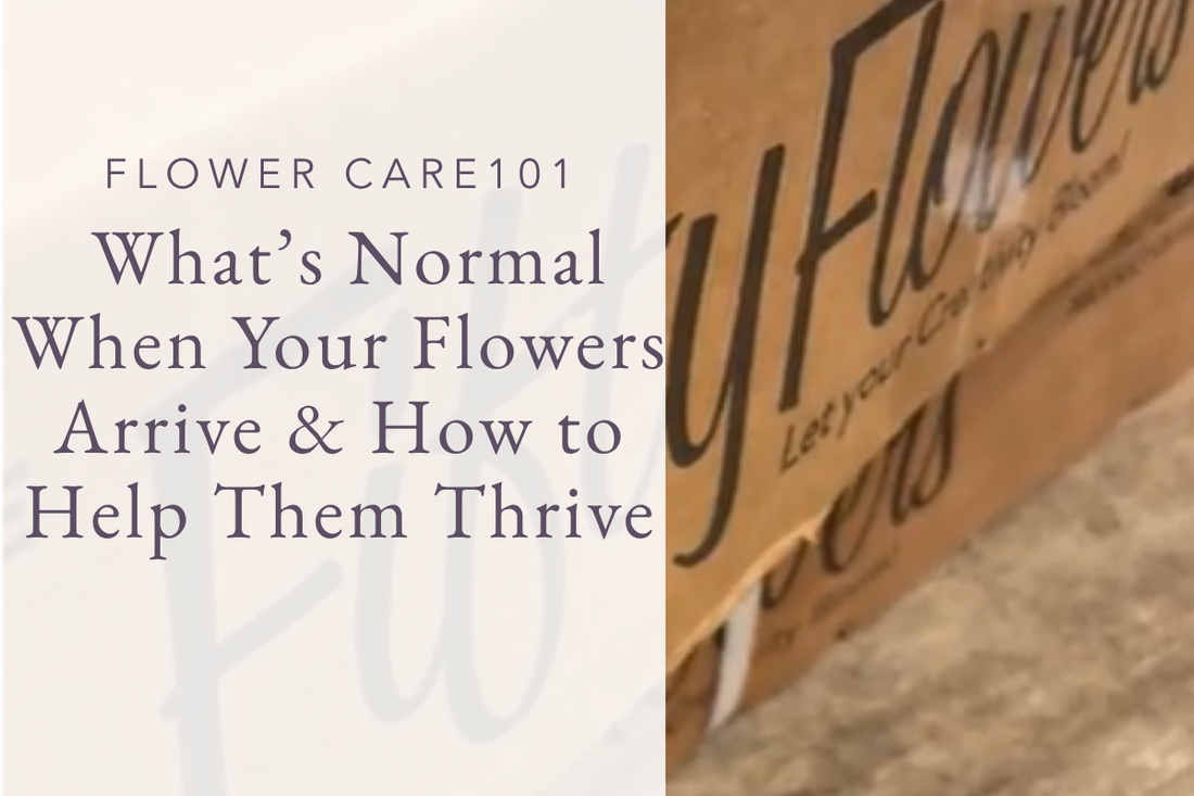 Flower Care 101 What’s Normal When Your Flowers Arrive & How to Help Them Thrive