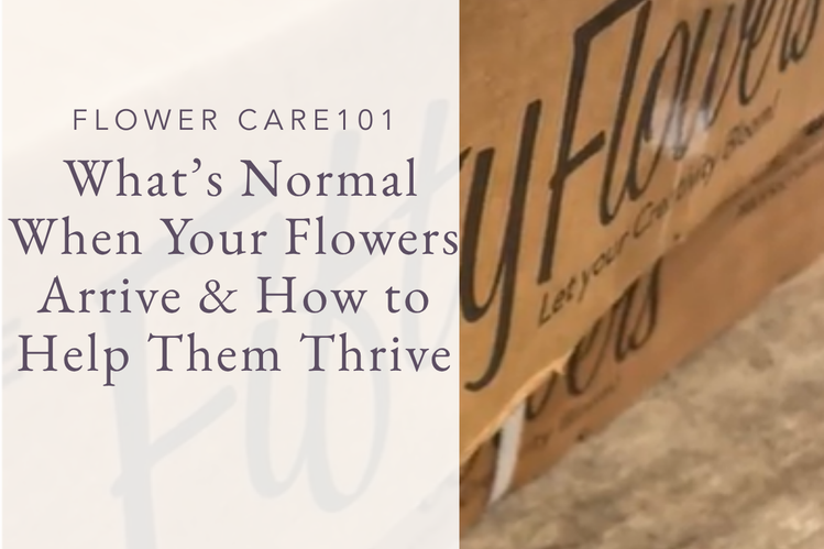 Flower Care 101: What’s Normal When Your Flowers Arrive And How to ...