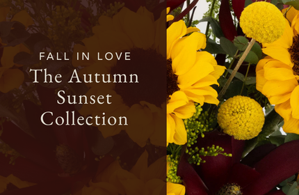 Fall in Love with the Autumn Sunset Collection