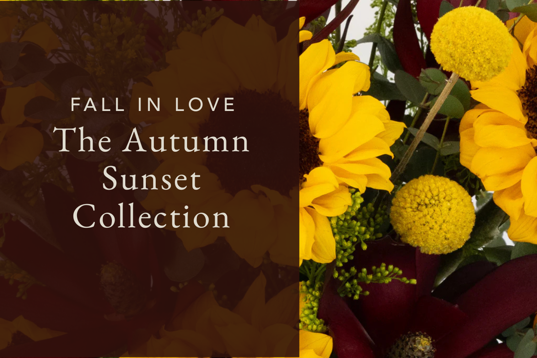 Fall in Love with the Autumn Sunset Collection