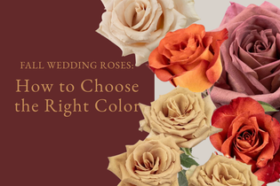 Fall Wedding Roses: How to Choose the Right ColorFall Wedding Roses: How to Choose the Right Color