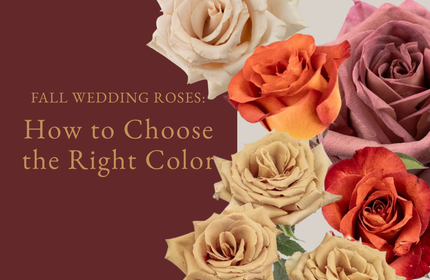 Fall Wedding Roses: How to Choose the Right ColorFall Wedding Roses: How to Choose the Right Color