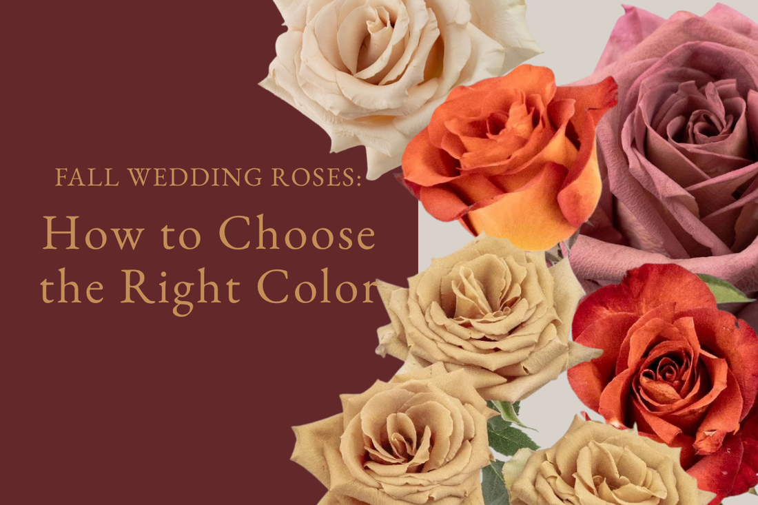 Fall Wedding Roses: How to Choose the Right ColorFall Wedding Roses: How to Choose the Right Color
