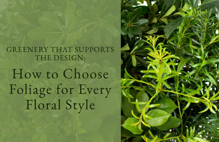 Greenery That Supports the Design: How to Choose Foliage for Every Floral Style