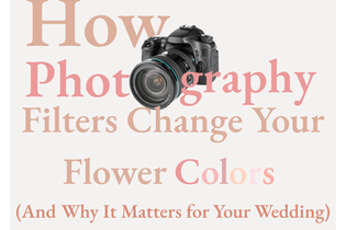 How Photography Filters Change your Flower Colors (and why it matters)