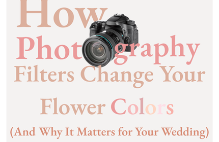 How Photography Filters Change your Flower Colors (and why it matters)