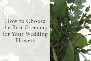 How to Choose the Best Greenery for Your Wedding Flowers