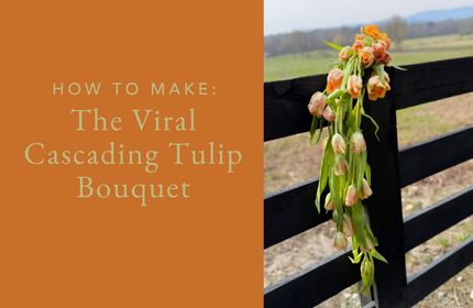 How to Make: The Viral Cascading Tulip Bouquet