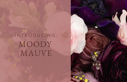 Introducing: Moody Mauve